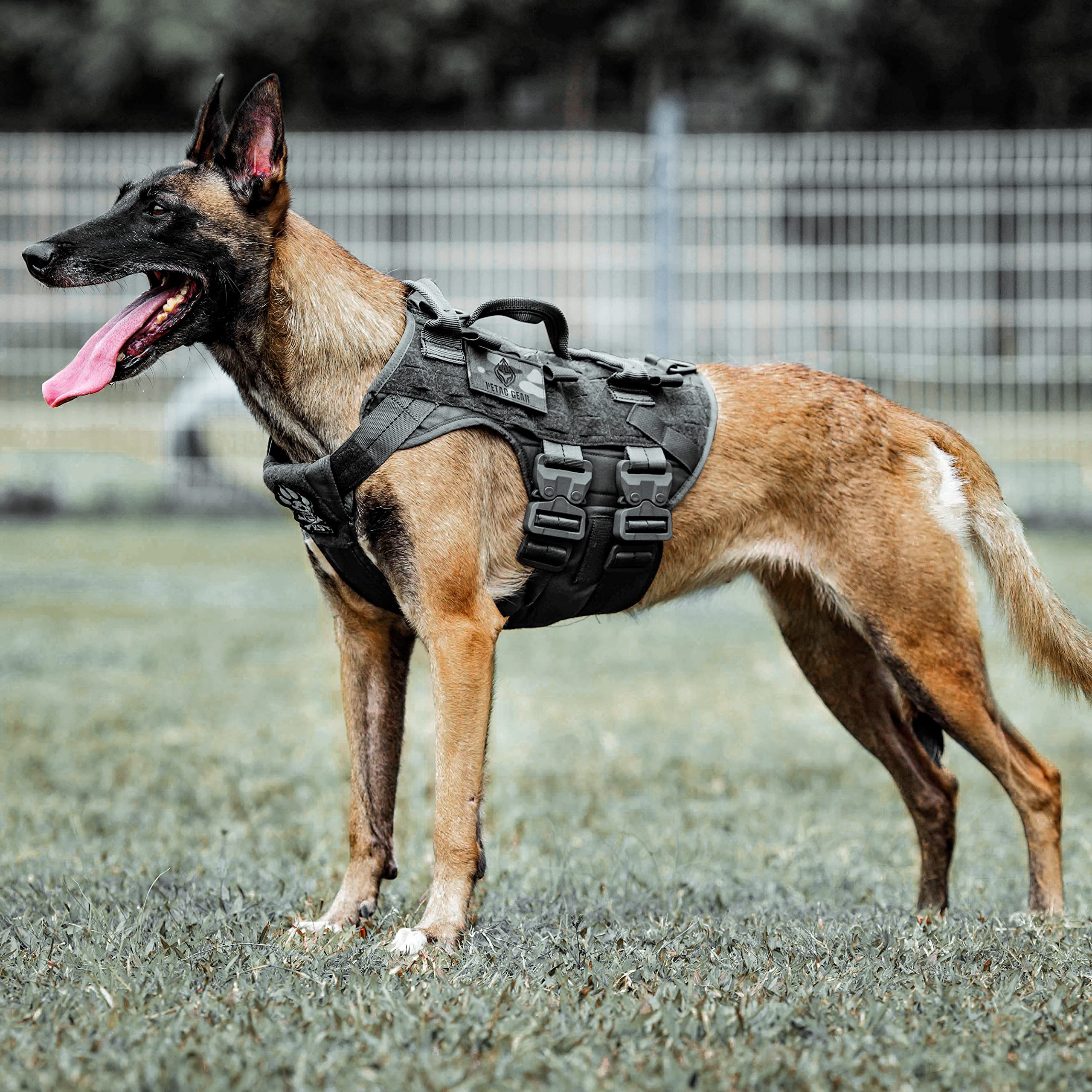 Tactical K9 Training Harness