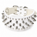 Premium Studded Leather Dog Collar