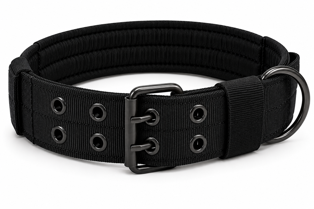 Heavy-Duty 2-Inch Padded Working Dog Collar