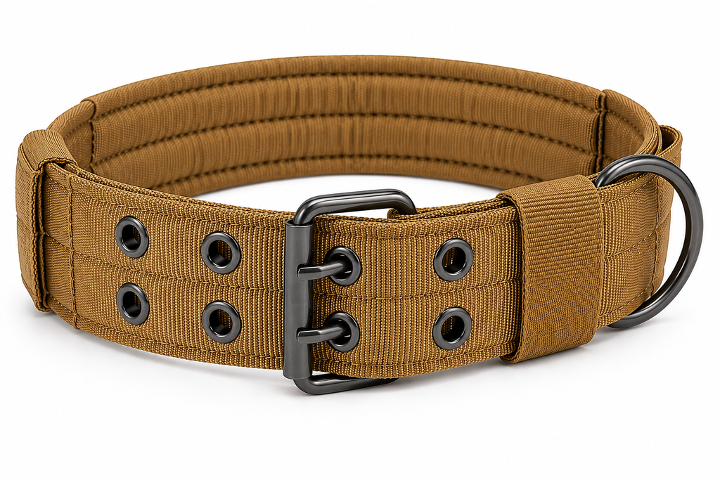 Heavy-Duty 2-Inch Padded Working Dog Collar