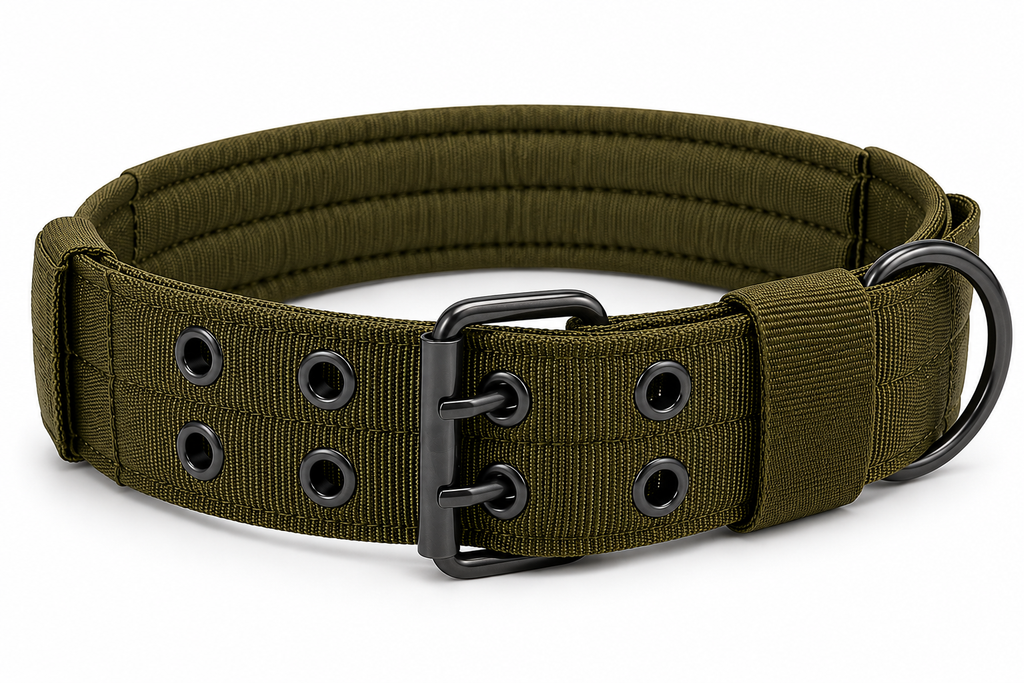 Heavy-Duty 2-Inch Padded Working Dog Collar