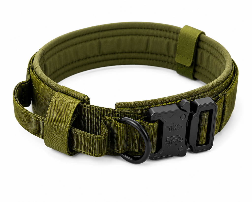 Elite Tactical Working Dog Collar & Bungee Leash Set