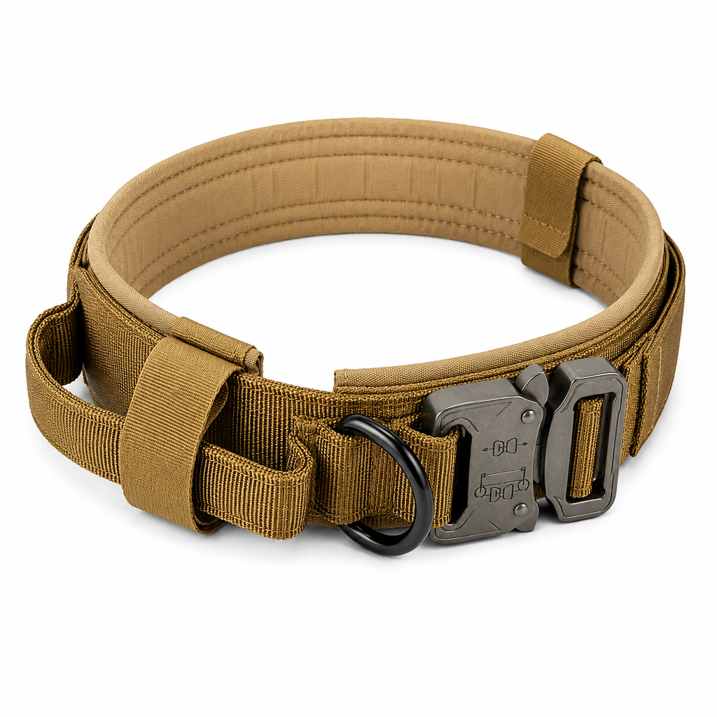 Elite Tactical Working Dog Collar & Bungee Leash Set