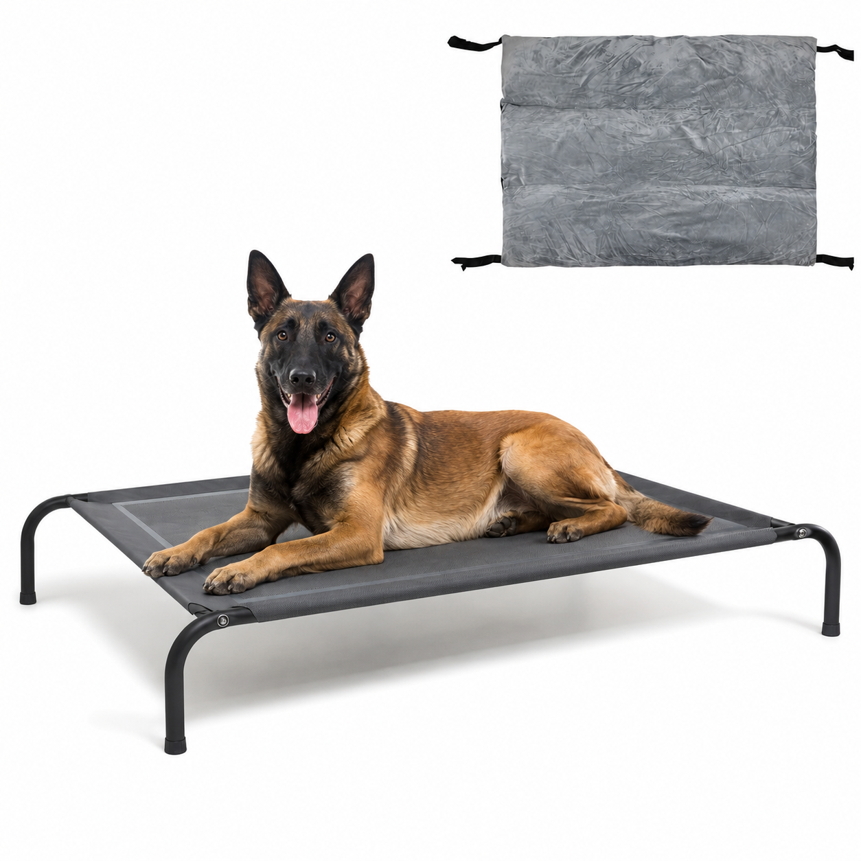 Elevated K9 Dog Bed – Heavy-Duty Raised Cot