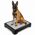 Professional K9 Training Platform – Non-Slip Obedience & Grooming Stand